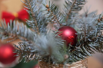 Christmas is the most beautiful holiday © Svetlana