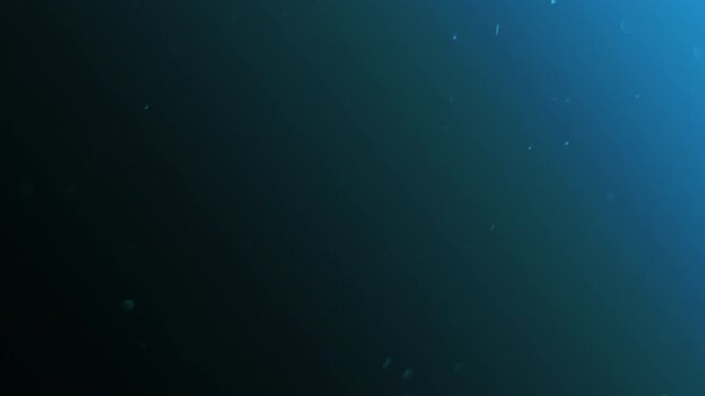 underwater themed backdrop with floating specks and subtle shine effects