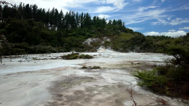 Wide geothermal flat and forest New Zealand
