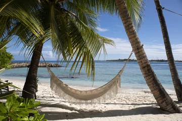 Fototapete Palme Hängematte  © andy