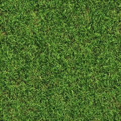 Seamless texture of lush green grass with subtle dirt patches great for open-world terrain