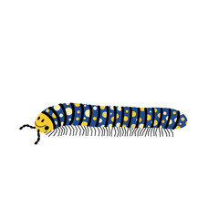 Naklejka premium Illustrated smiling millipede with a vibrant blue and yellow spotted body and many legs, isolated on a clean white background.