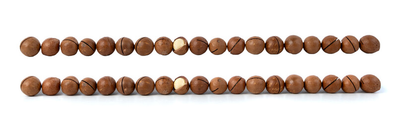 Macadamia nuts isolated. Natural raw peeled macadamia seeds and shells