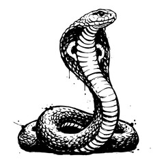 King cobra snake vector illustration of venomous reptile with open hood in striking position for tattoo design