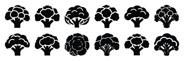 A collection of cauliflower silhouette icon set. simple design black color and white background.