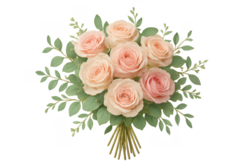 Pink roses bouquet with eucalyptus leaves transparent background