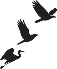 Naklejka premium Collection of Three Black Flying Bird Silhouettes: Hawk, Raven, and Heron
