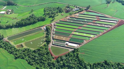 aerial view of a farm