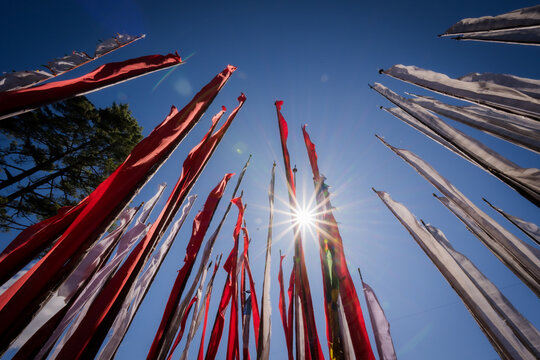 View of vibrant prayer flags, red and white, reaching towards the clear blue sky and shining sun, a spiritual symphony in Kikila Pass, Bumthang, Bhutan.