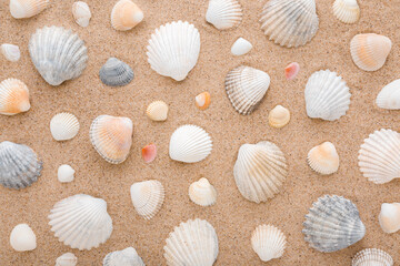 Different beautiful colorful sea shells on light brown dry sand background. Closeup. Seashells pattern. Top down view.