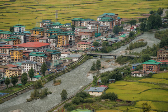 View of a vibrant town nestled between golden rice paddies and a flowing river under the open sky, a tapestry of life and nature, Paro, Bhutan.