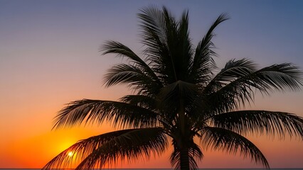 Palm tree silhouette at sunset with vibrant sky hues evokes tropical serenity and coastal beauty