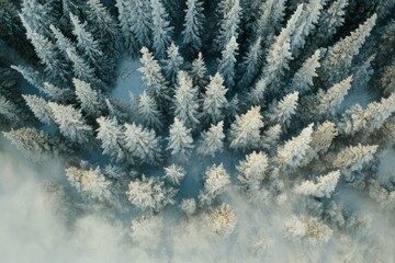 Top-down perspective of lush green forest displaying dense arrangement of trees. Vivid shades create vibrant environment, giving sense of depth and natural beauty. Neural network AI generated
