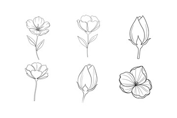 set of black and white flowers