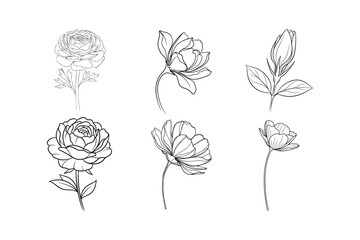 Modern Minimalist Flower Line Art Pack