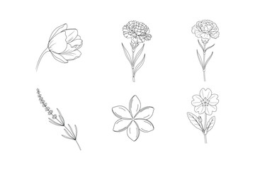 Simple Floral Outline Collection on White Background
