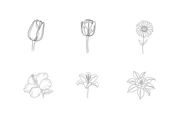 Minimal Flower Line Art Illustration Set.