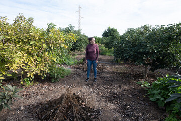 Woman walking through her avocado plantation