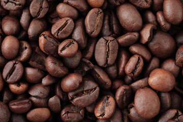 Coffee beans background, isolated. Perfect for coffee, beverage, food, cafe, and culinary design projects. REAL PHOTO, NOT GENERATIVE AI
