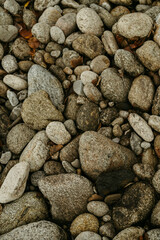 Close-up of rounded river stones forming a natural textured pattern in soft outdoor light.