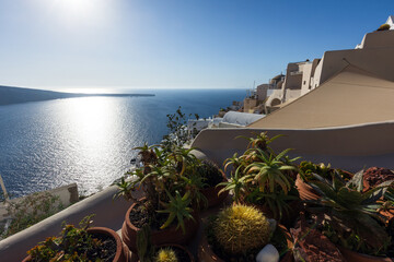 23 - Veduta sul Mare a Oia, isola di Santorini Grecia