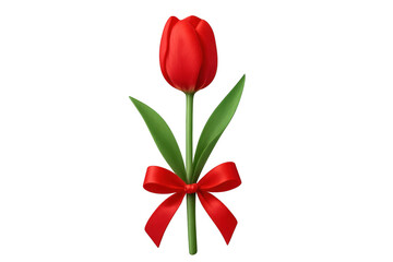 Obraz premium Red tulip with ribbon for love and gift giving