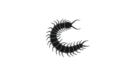 Obraz premium Centipede Silhouette on White Background - Insect Illustration.