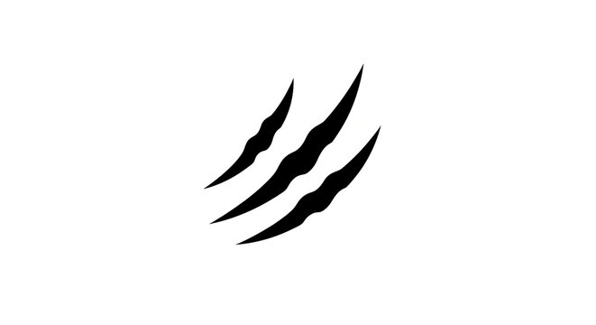 Claw Marks - A Symbol of Aggression and Power.