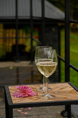 Glass of white wine standing on small wooden table with pink flower, blurred garden and cottage in background, cozy outdoor leisure scene with warm evening atmosphere