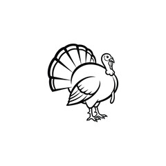 Black and white line drawing of a turkey with fanned tail