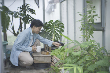 Sustainable urban gardener repurposing spent coffee grounds as organic fertiliser for fresh leafy greens. Eco-friendly DIY composting recycling food waste the growing trend of home vegetable farming.