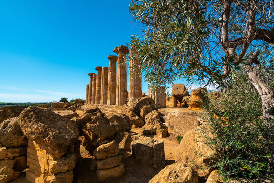 Ancient Greek Ruins in Sicily: A Perfect Blend of History and Nature