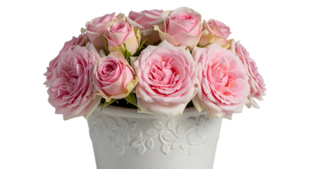 Beautiful bouquet of light pink roses displayed in a fancy white pot isolated for design use isolated PNG with Transparent Background