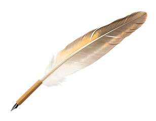 Elegant Feather Quill Pen, Isolated, Vintage Writing Tool on Minimal Background