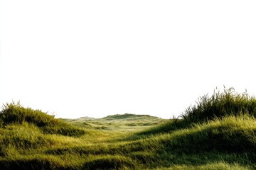 Obraz premium abstract landscape concept with a copy space