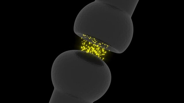 Neuron synapse impulse signals on black bg 4k