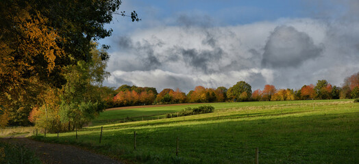 Herbst Panorama
