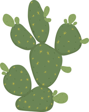 Prickly pear cactus vector illustration on white