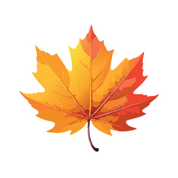 an isolated image of a 3d fallen mapple leaf, redshift, high-resolution, white background, 