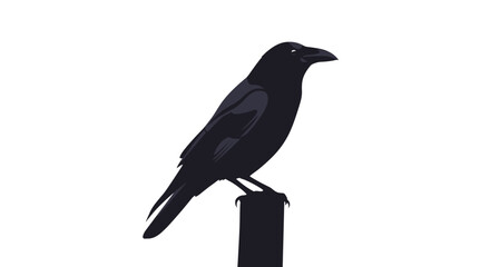 Obraz premium A striking minimalist illustration features a black crow with subtle purple and grey highlights perched confidently on a dark post against a clean white background.