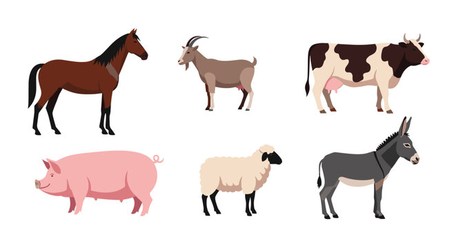 A collection of common farm animals including a horse, goat, cow, pig, sheep, and donkey, depicted in a flat design style.