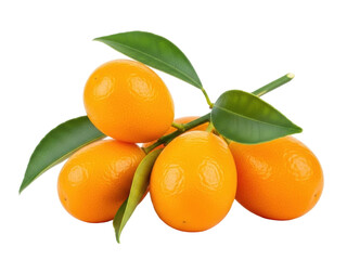 Isolated arrangement of fresh kumquats with leaves displayed on a plain surface, ready to eat