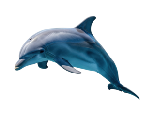 Isolated Dolphin in Oceanic Grace, Swimming, Marine Animal, Marine Life, Underwater World