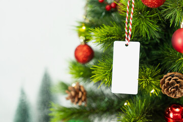 White tag hanging on a decorated Christmas tree branch, isolated on white background with clipping...