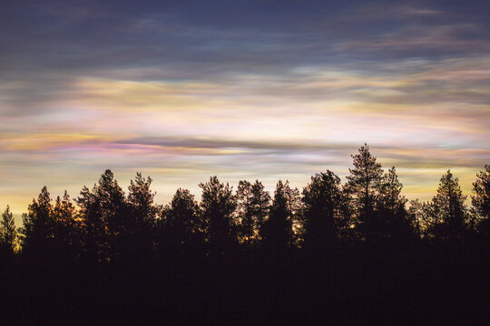 Aerial view of iridescent polar stratospheric clouds painting the sky with pastel hues above the silhouetted treeline, Muonio, Lapland, Finland.