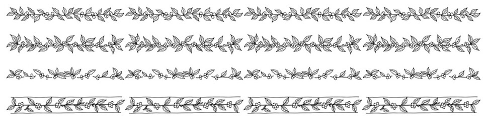 Hand drawn coffee plant borders set vector sketch style floral dividers with leaves and berries © Amelia