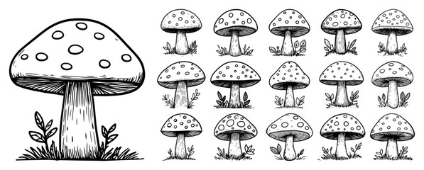 Hand drawn mushroom set vector sketch style toadstools and forest fungi collection © Amelia