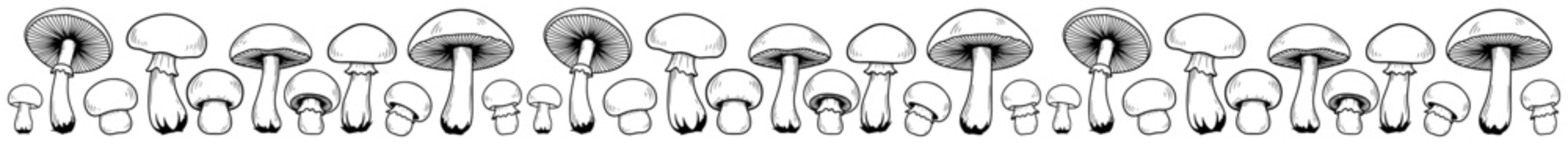 Hand drawn mushroom border vector seamless forest nature divider with various fungi and toadstools sketch style autumn foliage lines