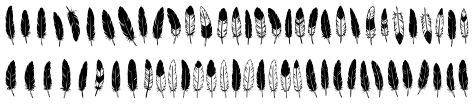 Hand drawn feather borders set vector sketch style bird plume dividers