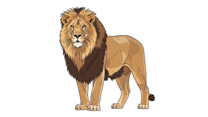 lion isolated on white